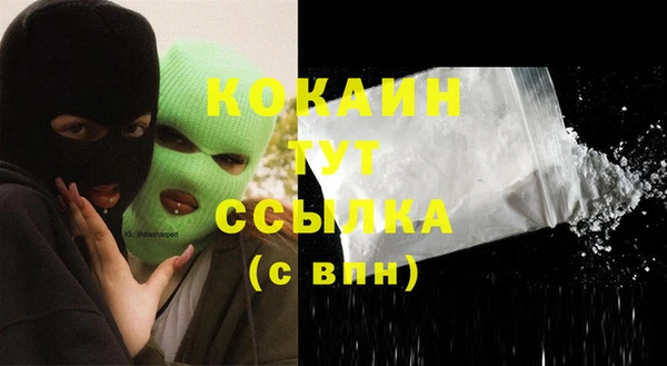 тгк Алзамай