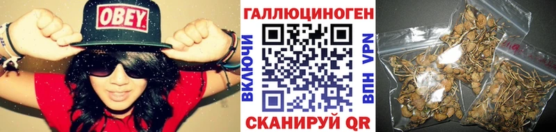 Купить где  Дно  Галлюциногенные грибы ЛСД 